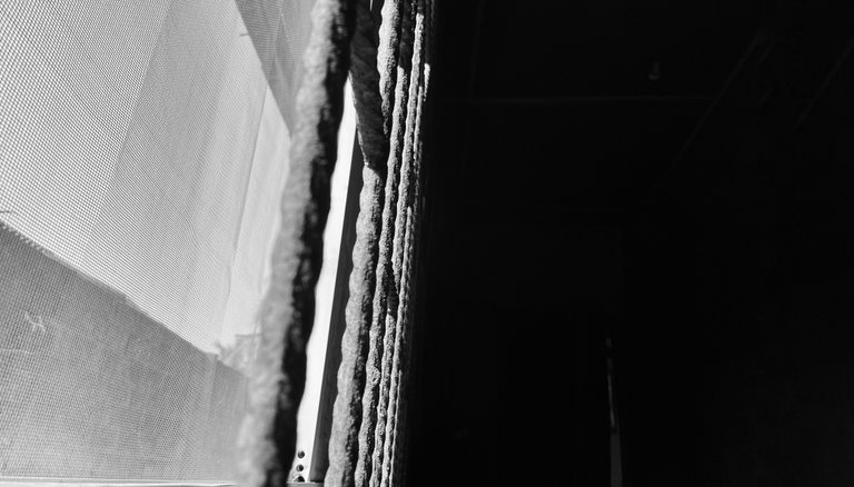 1000607728.jpg