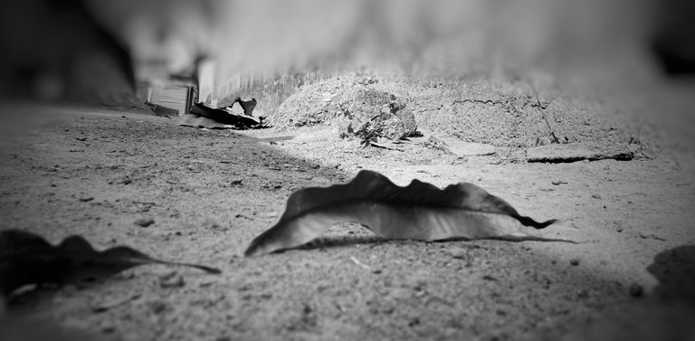 Bite the dust or carry on? 