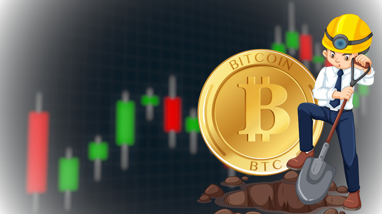 The Guy who moved 80k BTC 
