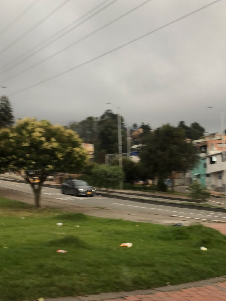 IMG_9944.jpeg
