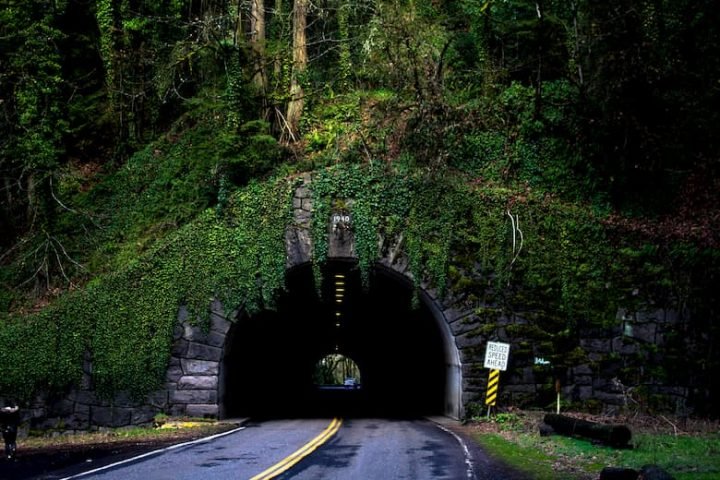 tunel-mas-largo-del-mundo-720x480.jpg