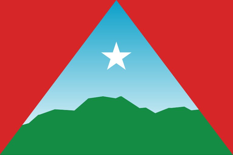 Flag_of_Caracas_(2022).svg (1).png