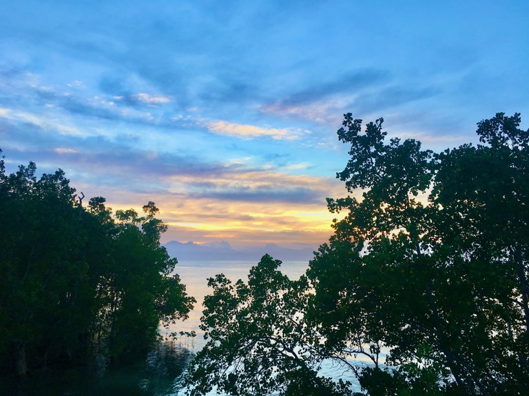 The sunset by the mangroves as we were on our way. We made sure to stop our journey to admire this beauty