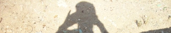 100_6736b.jpg