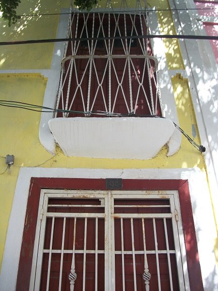 100_6337.JPG