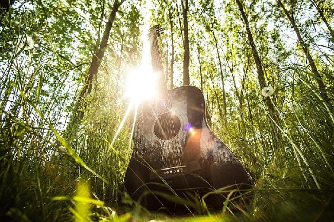 Imagen de sonido en la naturaleza 1.jpg