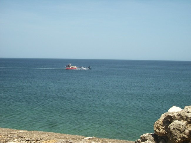 100_6791.JPG