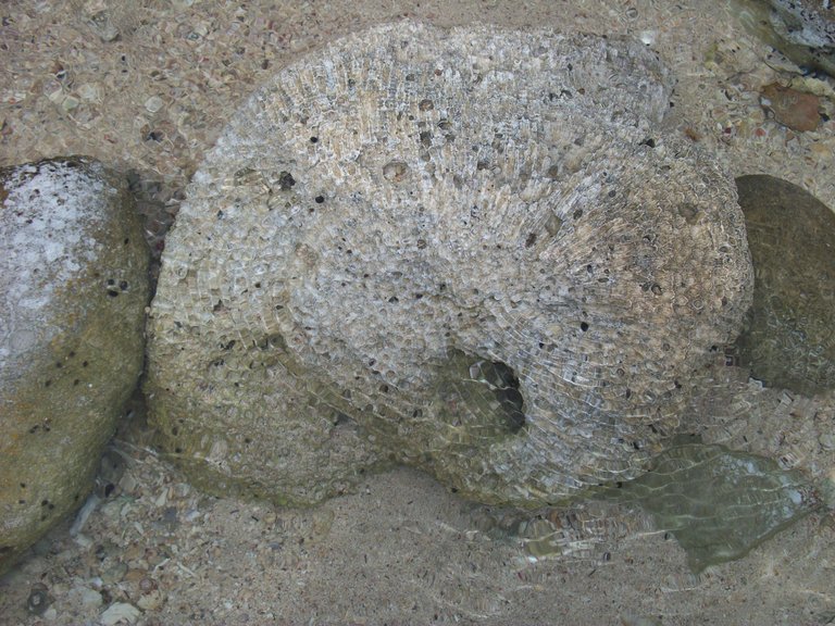 100_1609.jpg