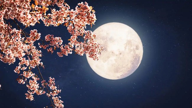 Imagen de la luna.jpg