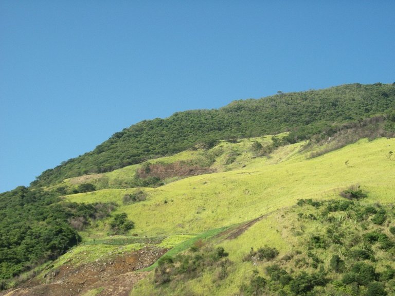 Montaña Cumanacoa - Maturín 4.jpg