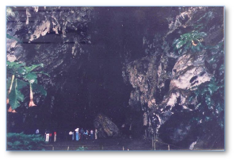 Cueva del Guácharo 1.jpg