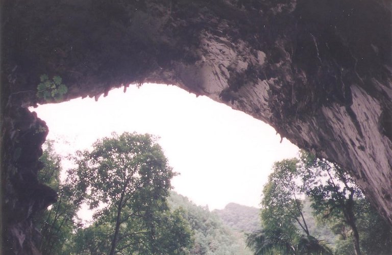 Cueva del Guácharo 3.jpg