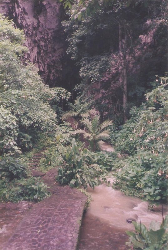 Cueva del Guácharo 5.jpg