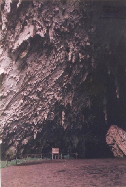 Cueva del Guácharo 2.jpg