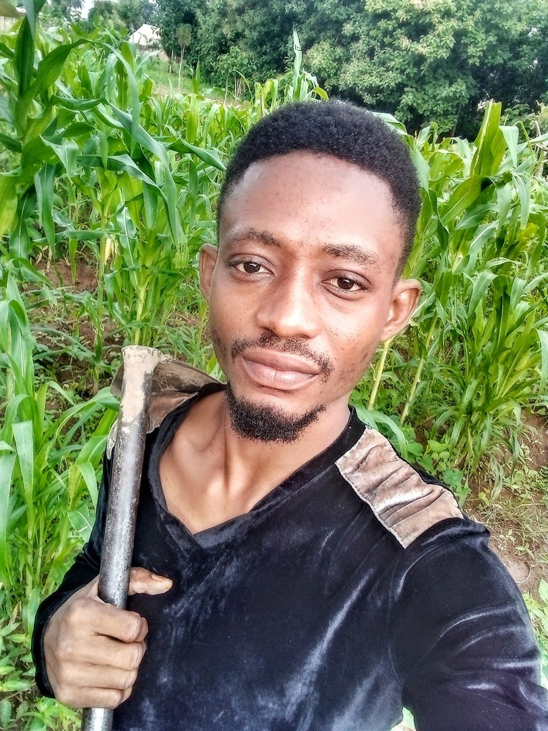 A Visit to My Farm This Weekend