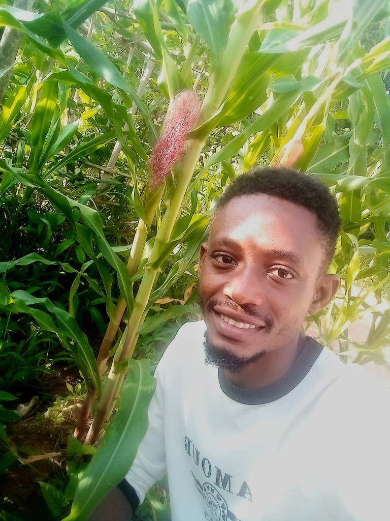 In anticipation for Harvest 