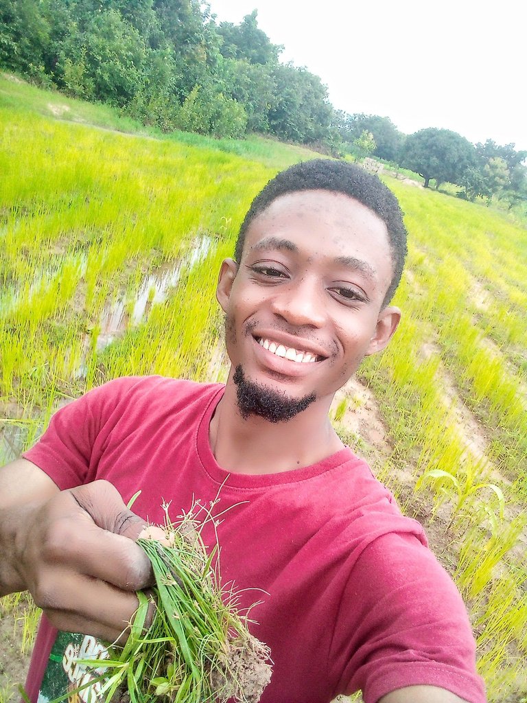 Weed Control/Removal using manual removal(hand picking) and Natural irrigation channel into my Rice Farm.