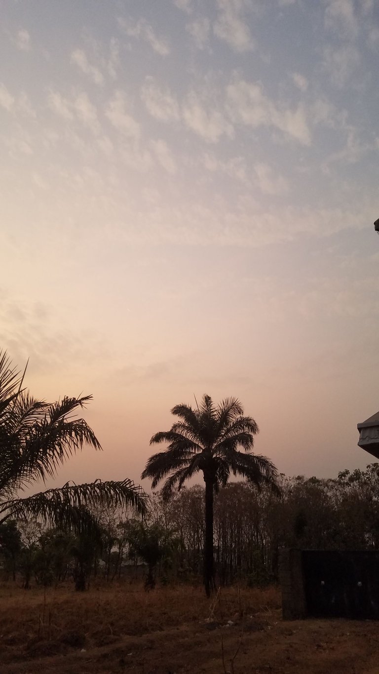20250225_063257.jpg