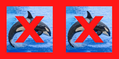 double orca.png