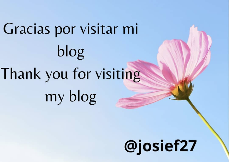 imagen.png