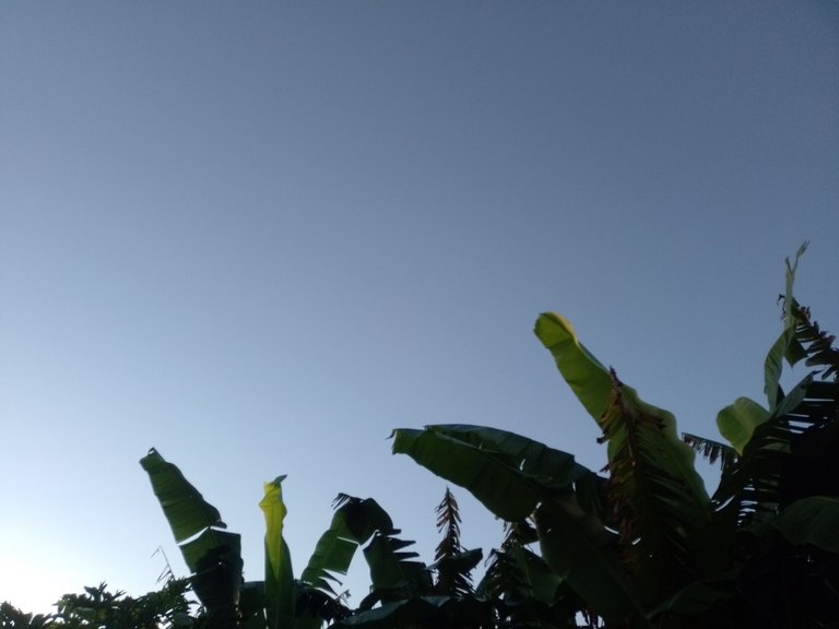 1000107776.jpg