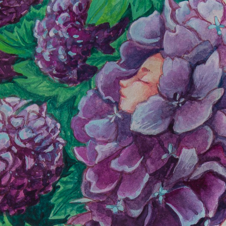 Hortensia_detail1.jpg