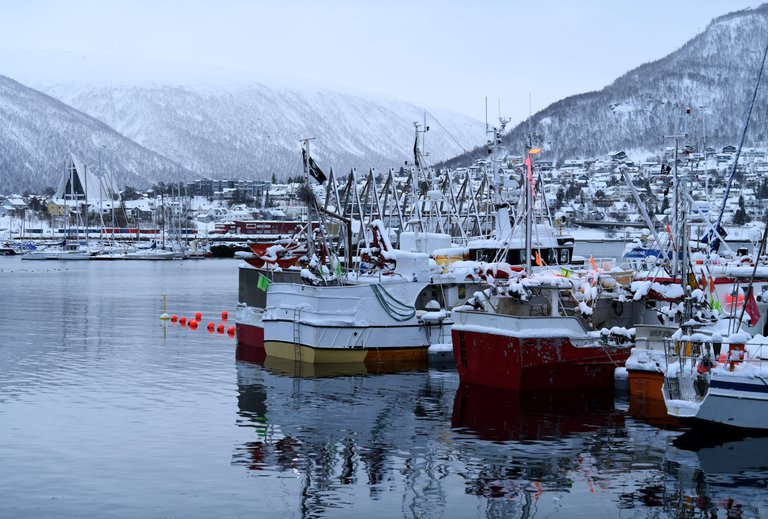 Tromsø.JPG