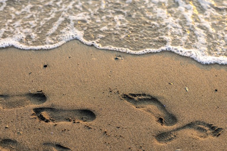 footprints-8446394_1280.jpg