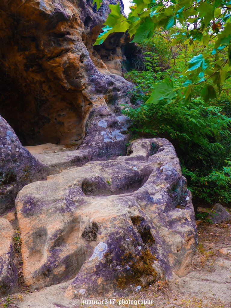 P1270490_edited.jpg