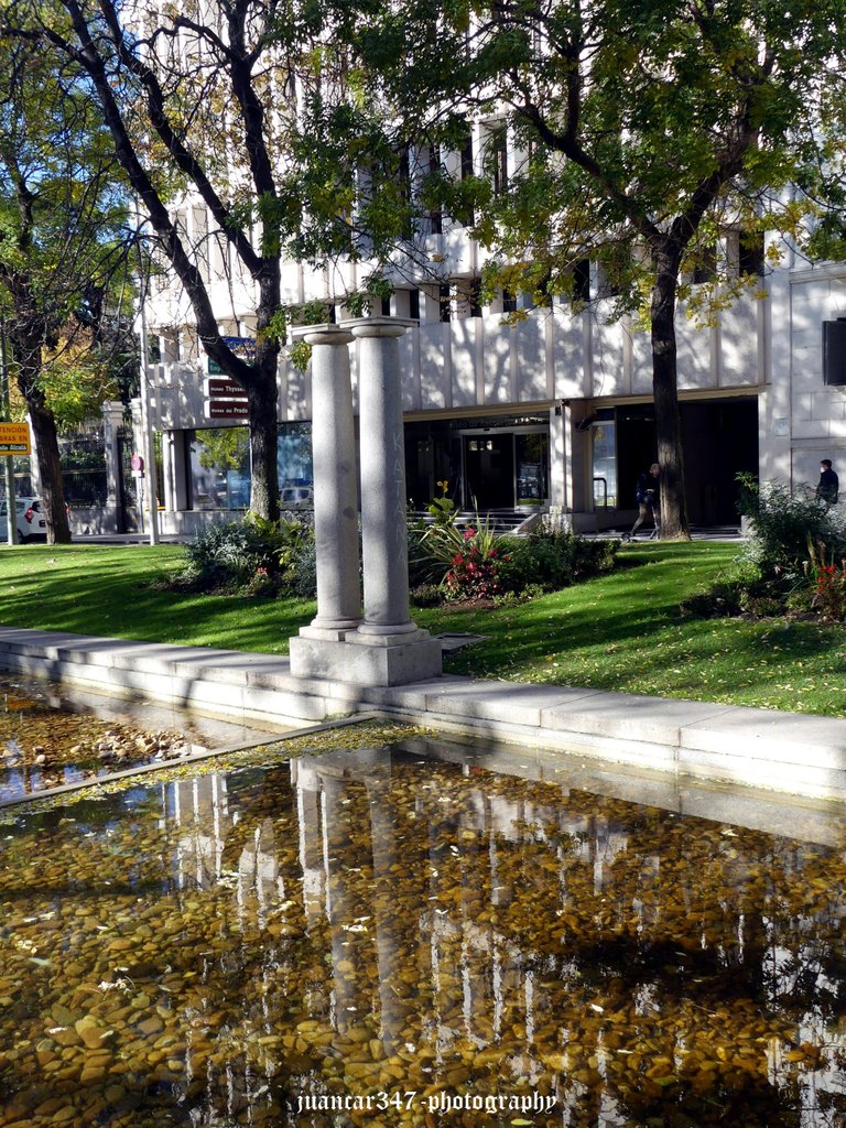 P1290394_copia.jpg