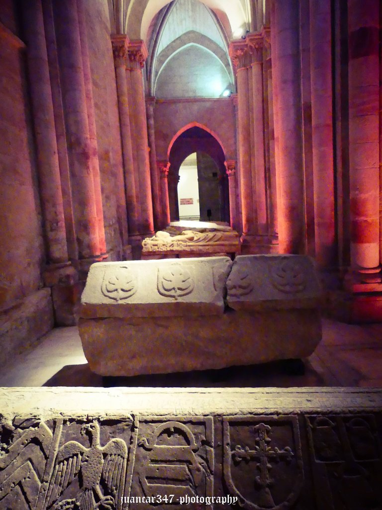 P1020417.JPG