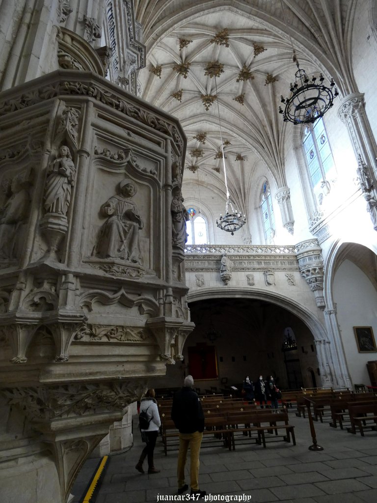 P1060562_acopia.jpg