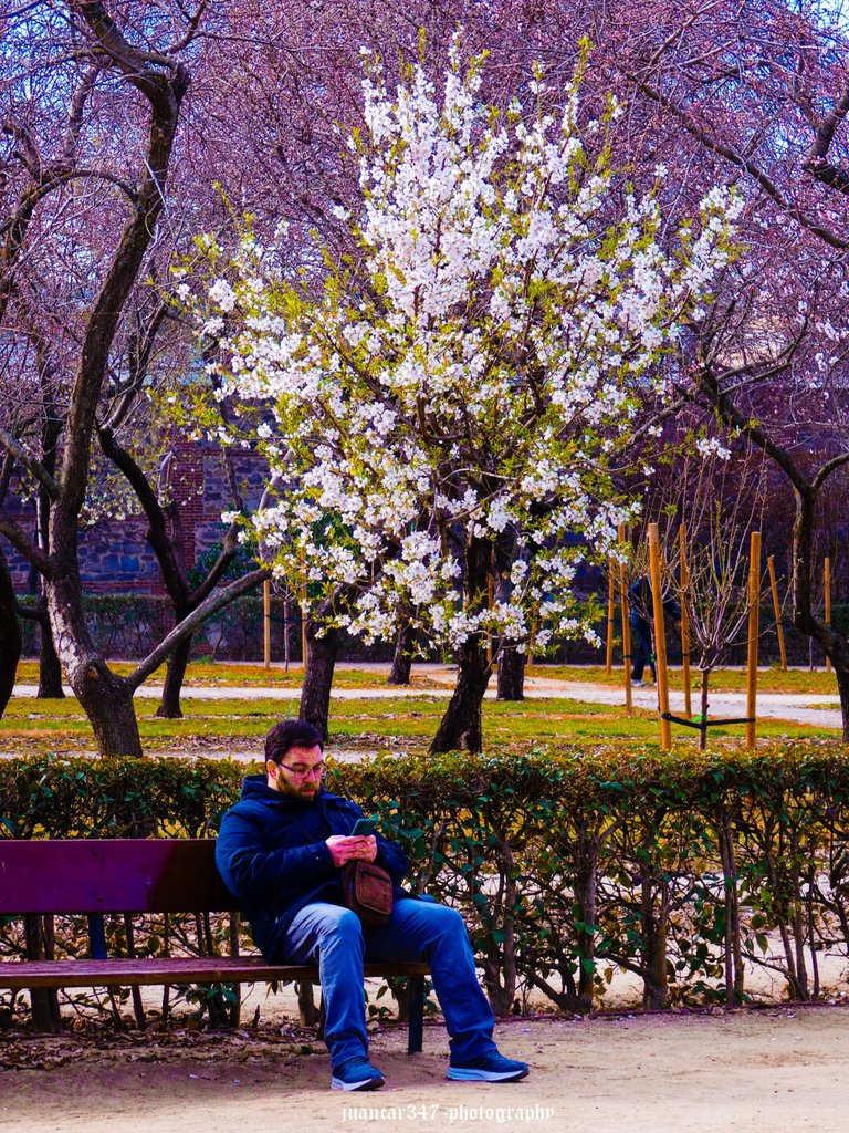 P1630161_edited.jpg
