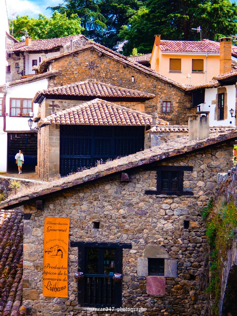 P1340076_edited.jpg