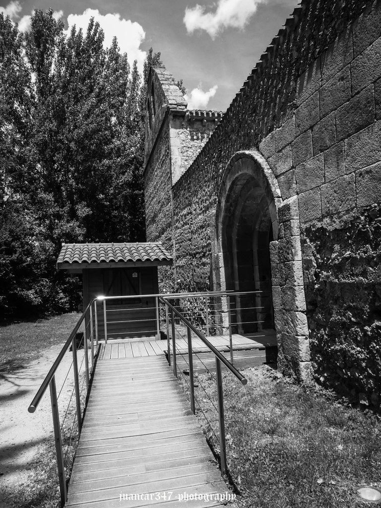 P1040351.JPG