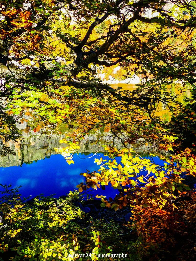 P1170773_edited.jpg