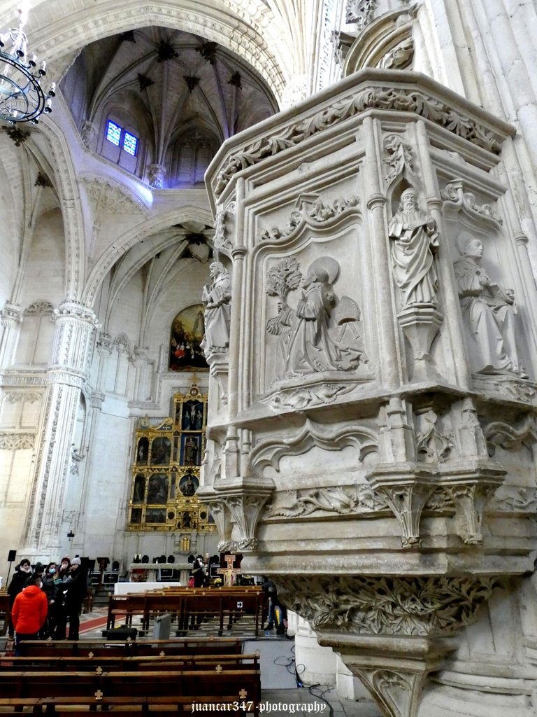 P1060541_acopia.jpg