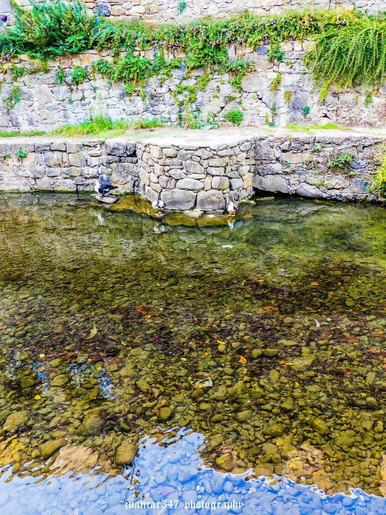 P1140545_edited.jpg