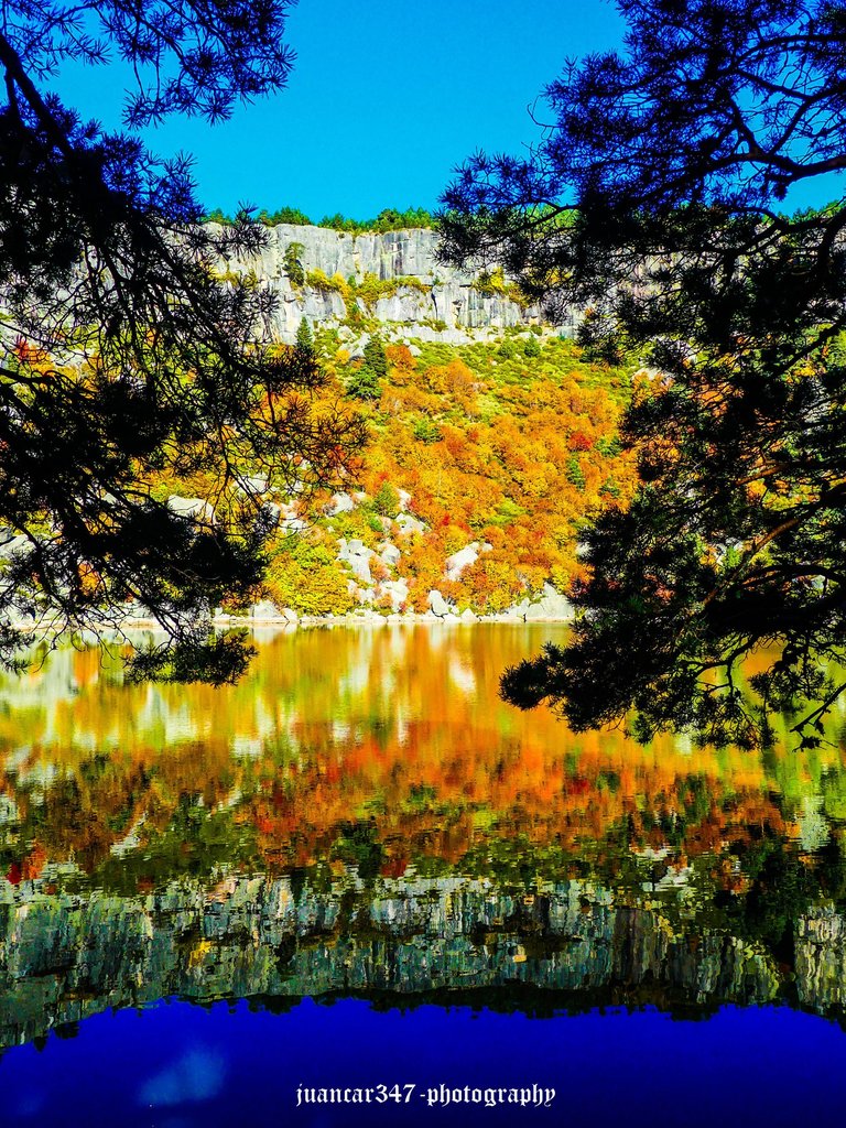P1170798_edited.jpg