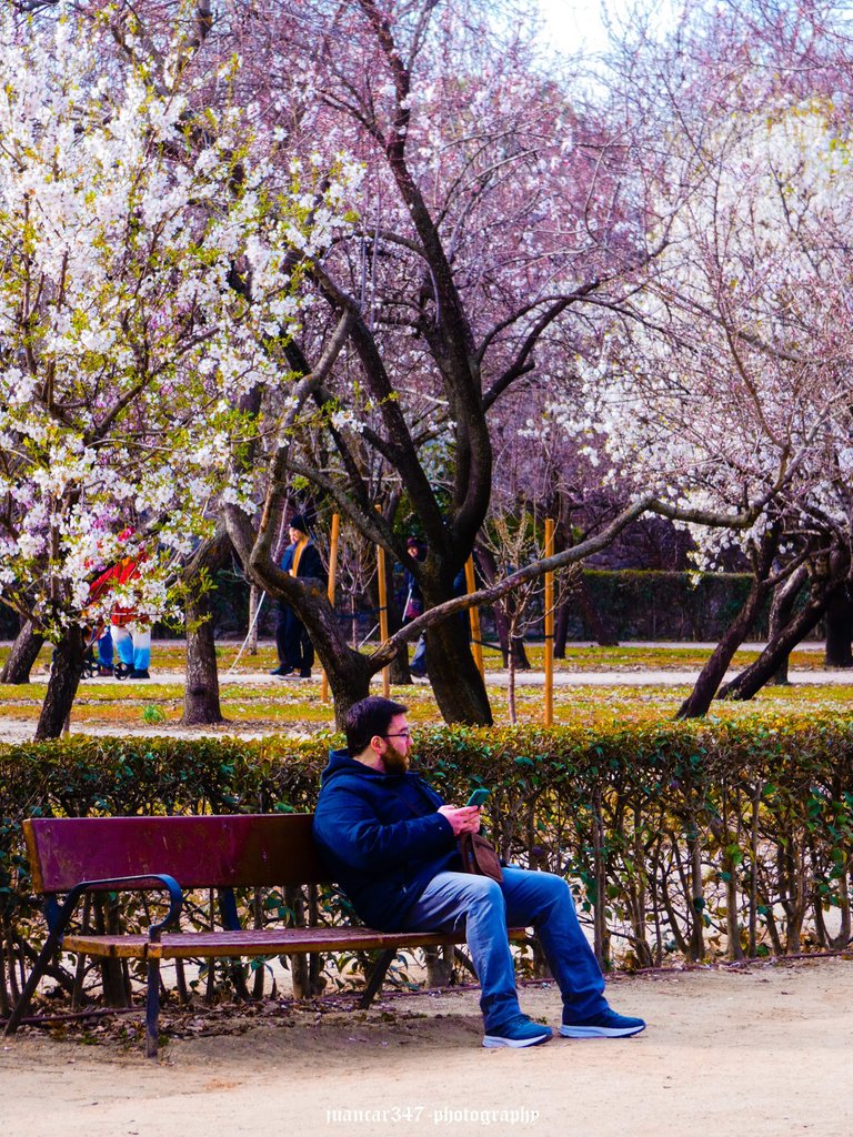 P1630156_edited.jpg