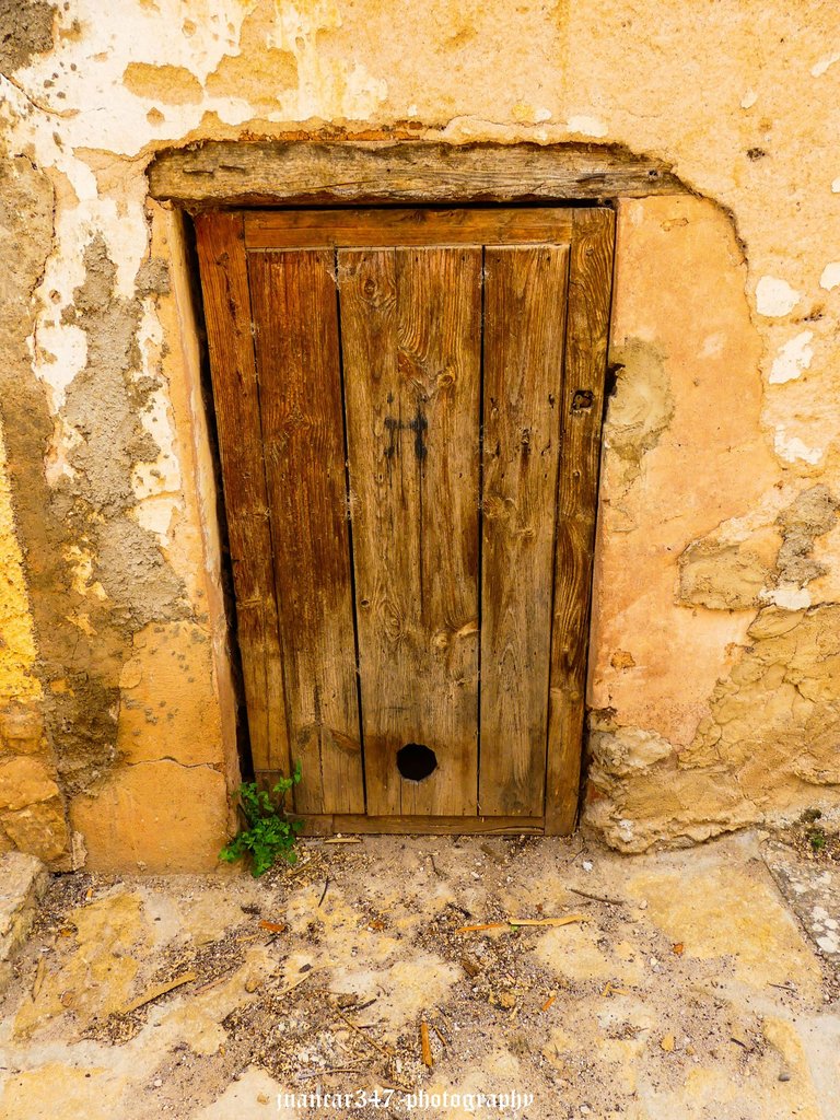 P1220413_edited.jpg