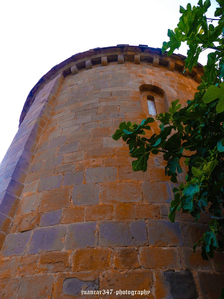P1310277_edited.jpg
