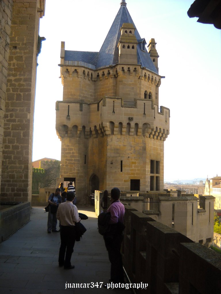DSCN8550.jpg