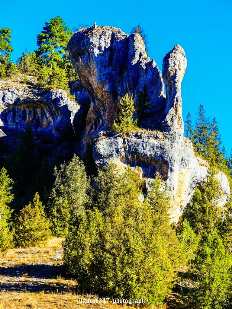 P1180364_edited.jpg