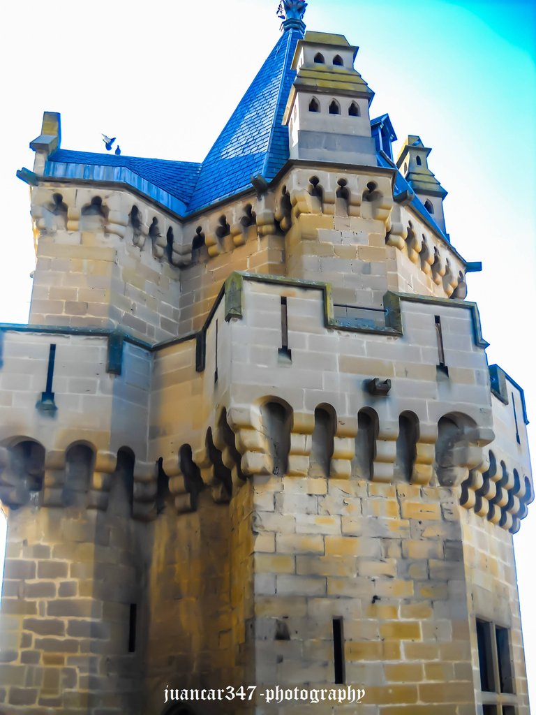 DSCN8533.jpg