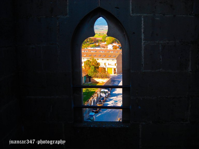DSCN8560.jpg