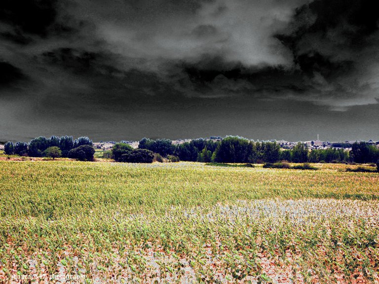 Silos-5 agosto 2012 676_acopia.jpg