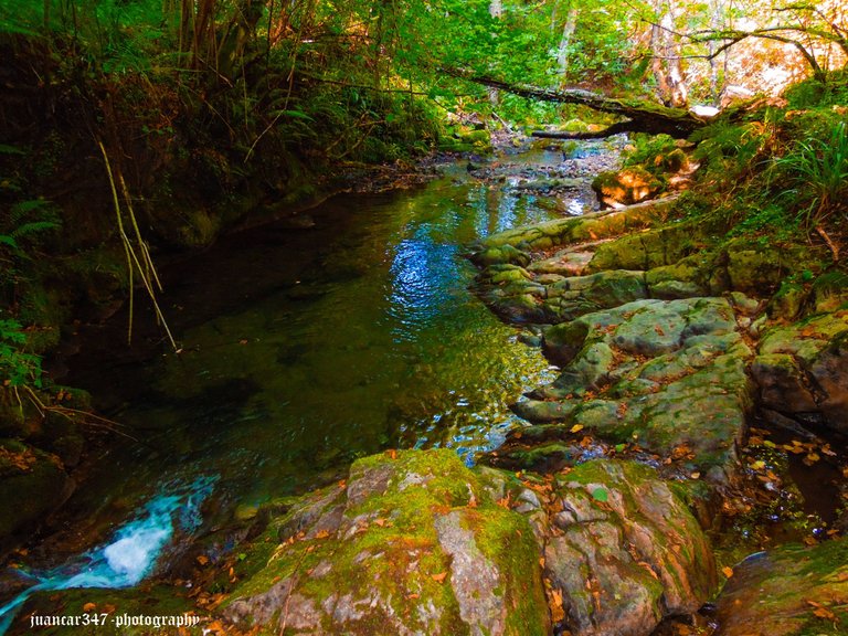 Asturias septiembre 2012 560_edited.jpg