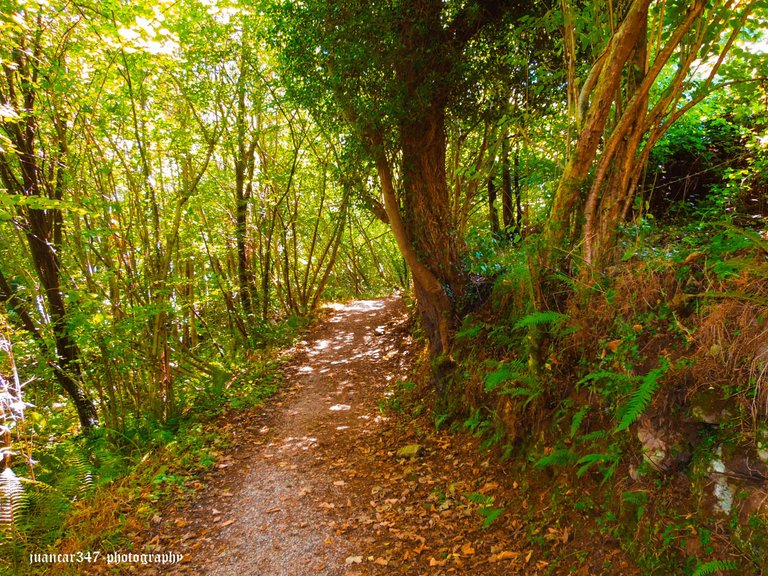 Asturias septiembre 2012 566_edited.jpg