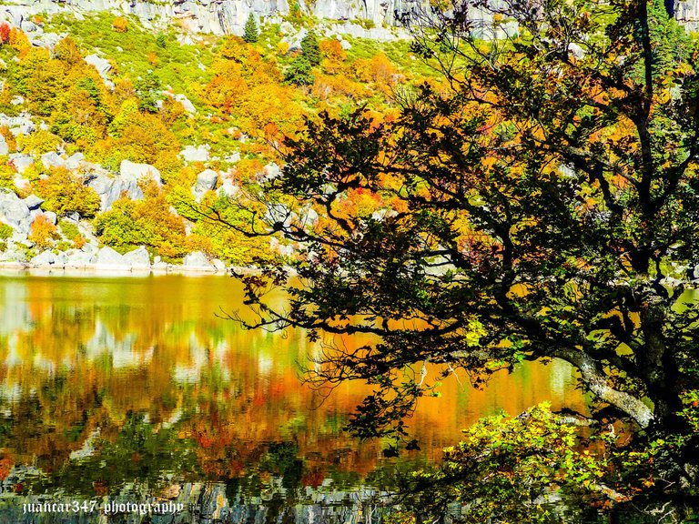 P1170784_edited.jpg